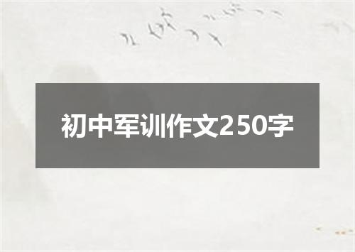 初中军训作文250字