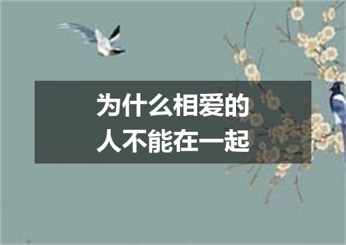为什么相爱的人不能在一起
