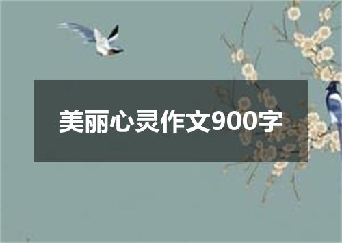 美丽心灵作文900字
