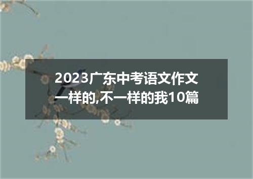 2023广东中考语文作文一样的,不一样的我10篇