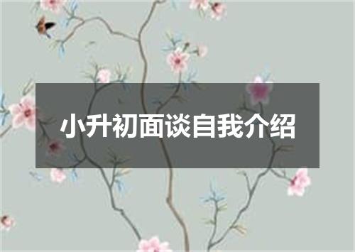 小升初面谈自我介绍