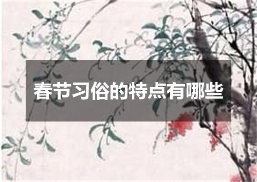 春节习俗的特点有哪些