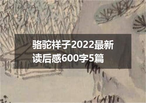 骆驼祥子2022最新读后感600字5篇
