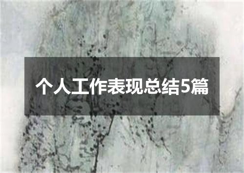 个人工作表现总结5篇