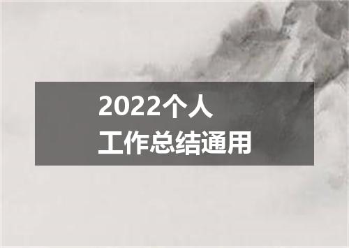 2022个人工作总结通用