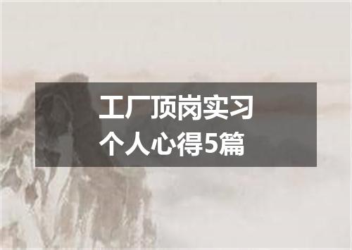 工厂顶岗实习个人心得5篇