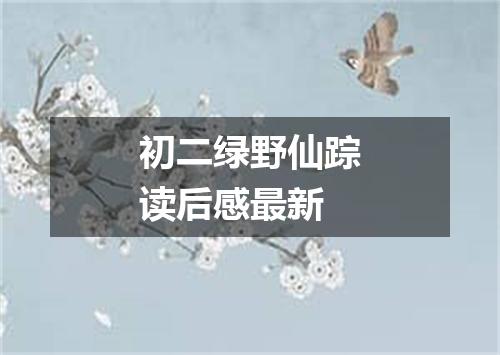 初二绿野仙踪读后感最新