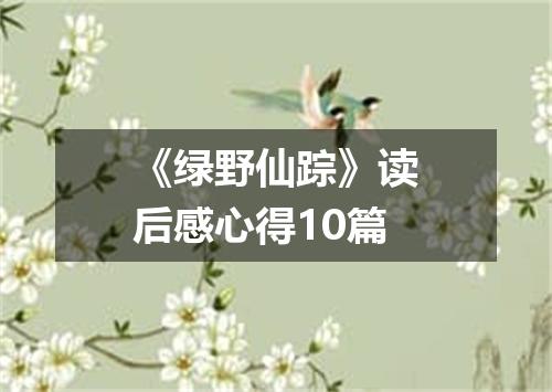 《绿野仙踪》读后感心得10篇