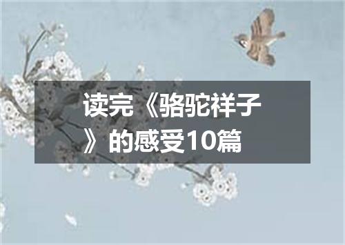 读完《骆驼祥子》的感受10篇