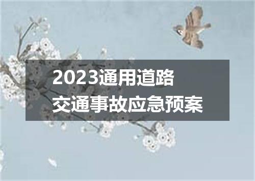 2023通用道路交通事故应急预案