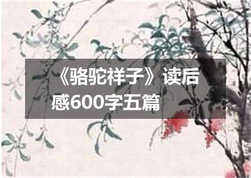 《骆驼祥子》读后感600字五篇