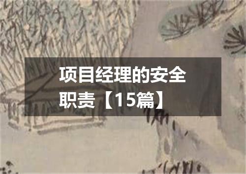 项目经理的安全职责【15篇】