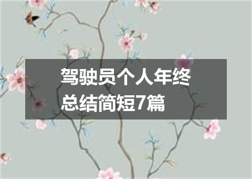 驾驶员个人年终总结简短7篇