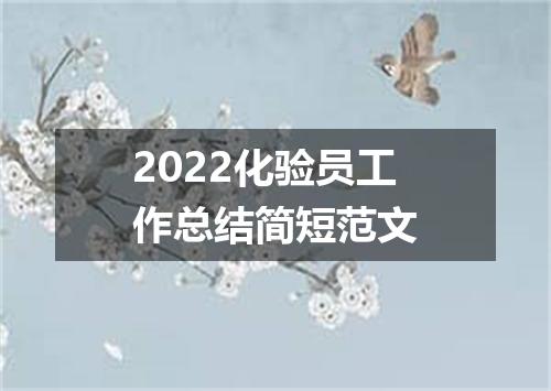 2022化验员工作总结简短范文