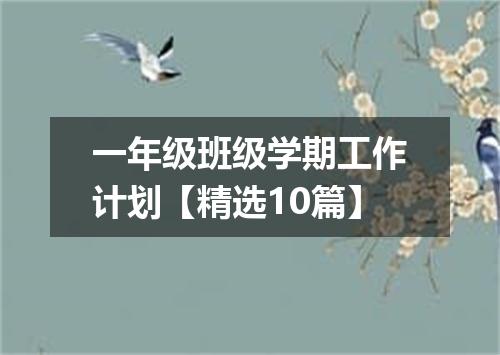 一年级班级学期工作计划【精选10篇】