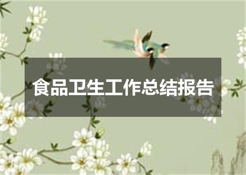 食品卫生工作总结报告