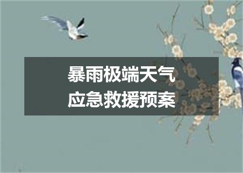 暴雨极端天气应急救援预案