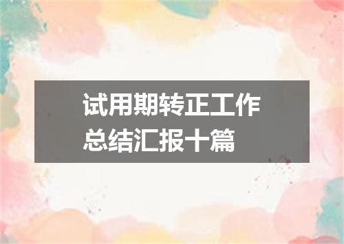 试用期转正工作总结汇报十篇