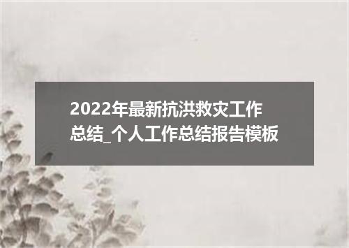 2022年最新抗洪救灾工作总结_个人工作总结报告模板