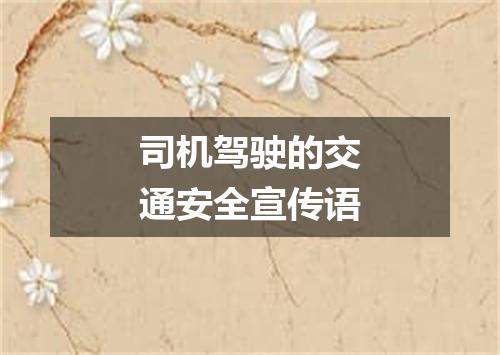 司机驾驶的交通安全宣传语