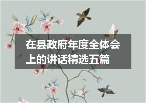 在县政府年度全体会上的讲话精选五篇