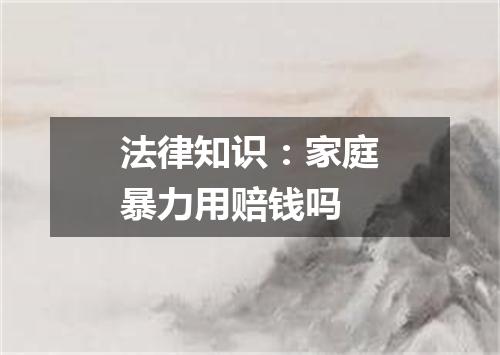 法律知识：家庭暴力用赔钱吗