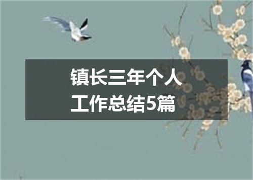 镇长三年个人工作总结5篇