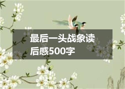 最后一头战象读后感500字