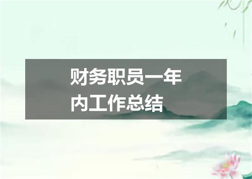 财务职员一年内工作总结