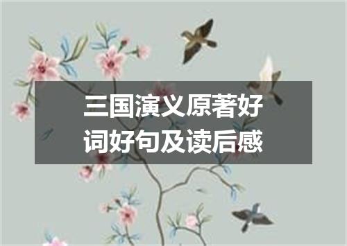 三国演义原著好词好句及读后感