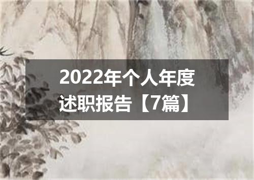 2022年个人年度述职报告【7篇】