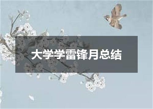 大学学雷锋月总结