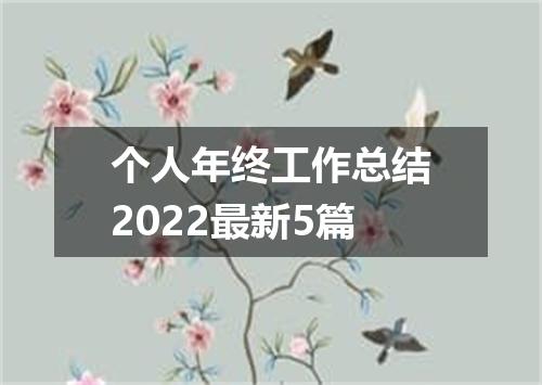 个人年终工作总结2022最新5篇