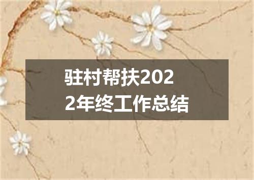 驻村帮扶2022年终工作总结