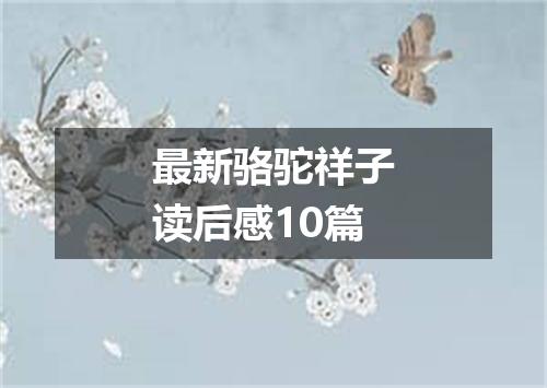 最新骆驼祥子读后感10篇