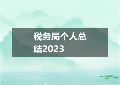 税务局个人总结2023