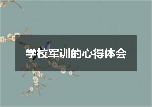 学校军训的心得体会