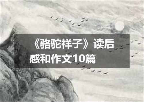 《骆驼祥子》读后感和作文10篇