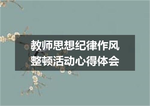 教师思想纪律作风整顿活动心得体会
