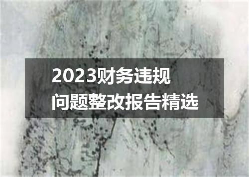 2023财务违规问题整改报告精选
