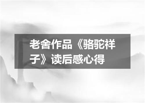 老舍作品《骆驼祥子》读后感心得