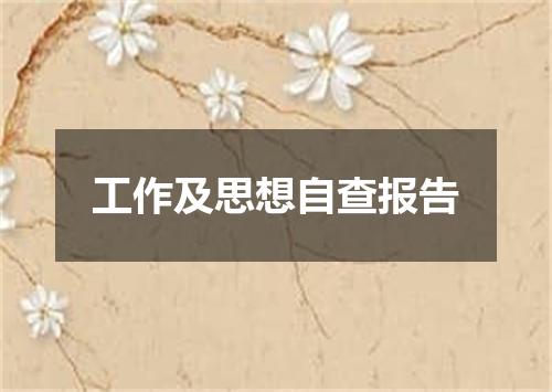 工作及思想自查报告