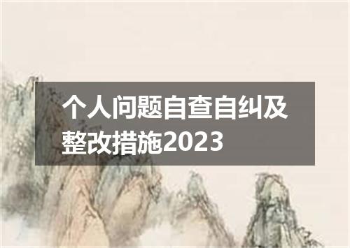 个人问题自查自纠及整改措施2023