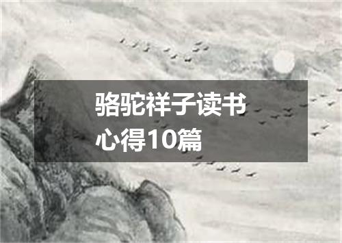 骆驼祥子读书心得10篇