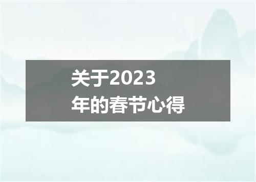 关于2023年的春节心得