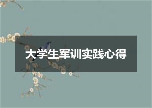 大学生军训实践心得