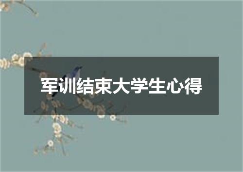 军训结束大学生心得