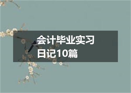 会计毕业实习日记10篇