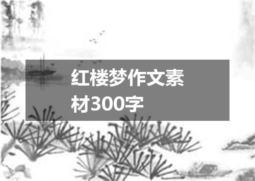 红楼梦作文素材300字