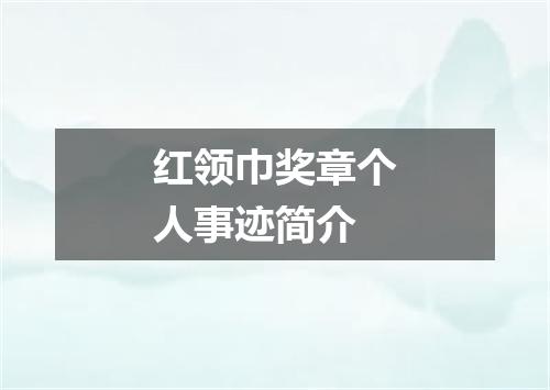 红领巾奖章个人事迹简介